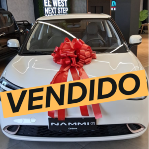 Nammi-01 100% Electrico, Autonomia 330-400 Km Panamá